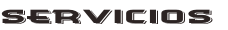 SERVICIOS